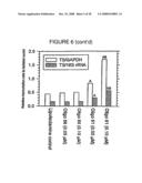 Antisense oligonucleotides against thymidylate synthase diagram and image