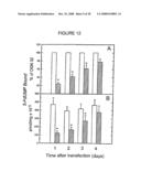 Antisense oligonucleotides against thymidylate synthase diagram and image