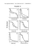 Antisense oligonucleotides against thymidylate synthase diagram and image