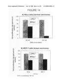 Antisense oligonucleotides against thymidylate synthase diagram and image