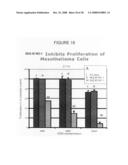 Antisense oligonucleotides against thymidylate synthase diagram and image