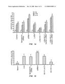 INTRANASAL DELIVERY OF NUCLEIC ACID MOLECULES diagram and image