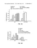 INTRANASAL DELIVERY OF NUCLEIC ACID MOLECULES diagram and image