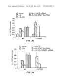 INTRANASAL DELIVERY OF NUCLEIC ACID MOLECULES diagram and image