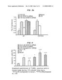 INTRANASAL DELIVERY OF NUCLEIC ACID MOLECULES diagram and image