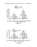 INTRANASAL DELIVERY OF NUCLEIC ACID MOLECULES diagram and image