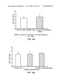 INTRANASAL DELIVERY OF NUCLEIC ACID MOLECULES diagram and image