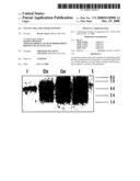 USE OF GABA AND GABAB AGONISTS diagram and image