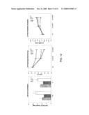 Use Of Linoleic Compounds Against Heart Failure diagram and image