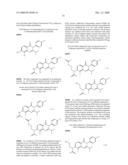 Quinazolinone Derivatives as Vanilloid Antagonists diagram and image