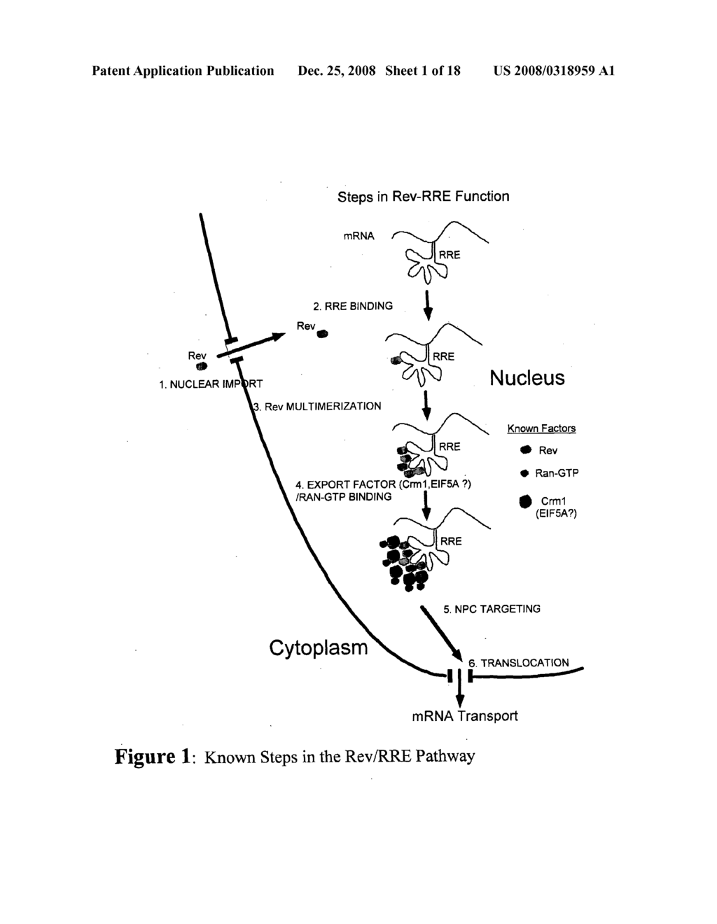 Compounds that Inhibit Hiv Particle Formation - diagram, schematic, and image 02