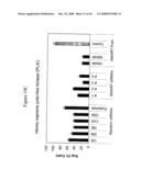 siRNA targeting protein kinase N-3 (PKN-3) diagram and image