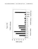 siRNA targeting protein kinase N-3 (PKN-3) diagram and image