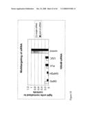 siRNA targeting protein kinase N-3 (PKN-3) diagram and image
