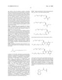 Branched Polymeric Sugars and Nucleotides Thereof diagram and image