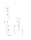 Branched Polymeric Sugars and Nucleotides Thereof diagram and image