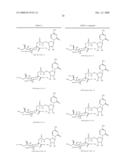 Branched Polymeric Sugars and Nucleotides Thereof diagram and image