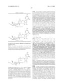 Branched Polymeric Sugars and Nucleotides Thereof diagram and image