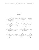 PROCESS FOR THE PREPARATION OF EPOTHILONES diagram and image