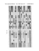 Gene information display method and apparatus diagram and image