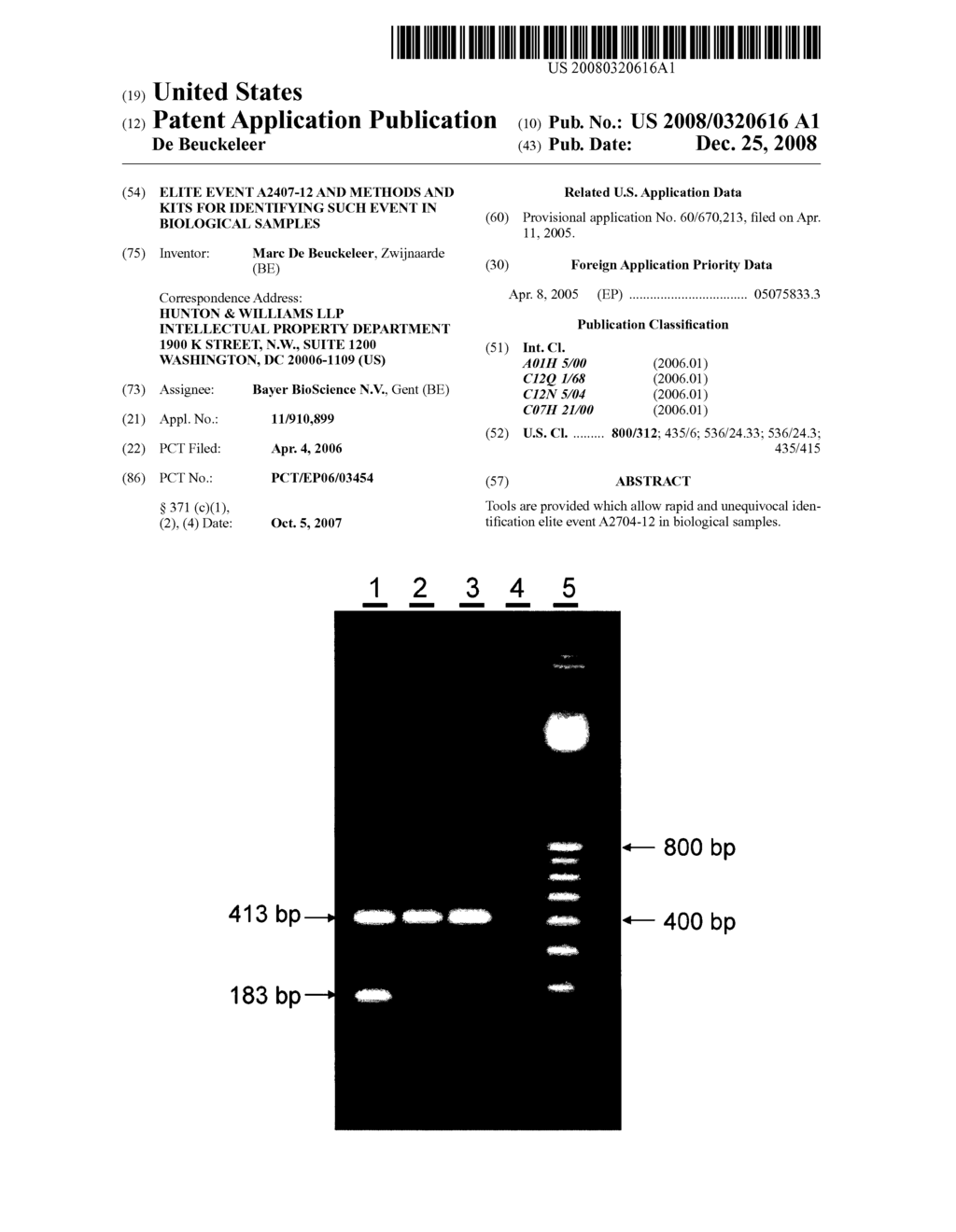 Elite Event A2407-12 and Methods and Kits for Identifying Such Event in Biological Samples - diagram, schematic, and image 01