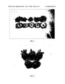 STRAWBERRY PLANT NAMED  DRISSTRAWTHREE  diagram and image