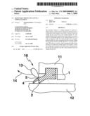 Removable Protective Lip on a Wiping Element diagram and image