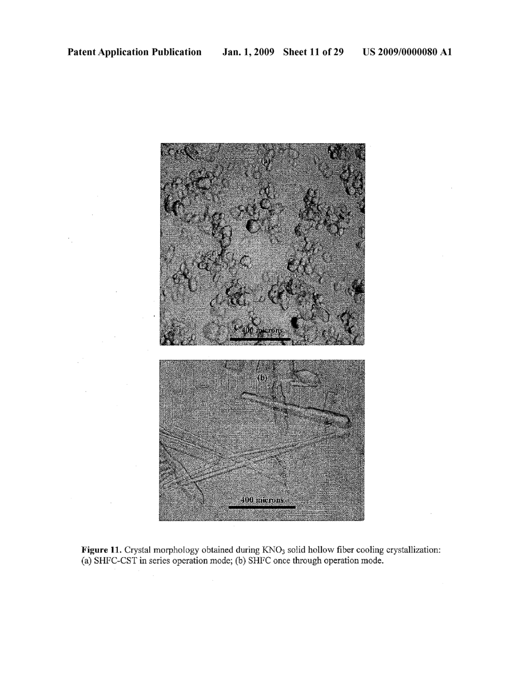 Solid Hollow Fiber Cooling Crystallization Systems and Methods - diagram, schematic, and image 12