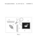 Decoy or fishing lure exhibiting realistic spectral reflectance diagram and image