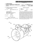 Aircraft engine balanced thrust vectoring system diagram and image