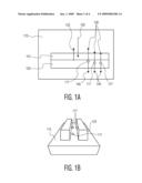 Biosensor with One-Dimensional Sub-Diffraction-Limited Apertures Composed of a Grid and a Polarizer diagram and image