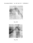 METHOD FOR CUTTING FULLERENE NANOTUBES diagram and image