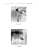 METHOD FOR CUTTING FULLERENE NANOTUBES diagram and image