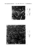 METHOD FOR CUTTING FULLERENE NANOTUBES diagram and image