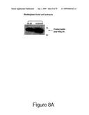 HSC70 directed diagnostics and therapeutics for multidrug resistant neoplastic disease diagram and image