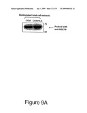 HSC70 directed diagnostics and therapeutics for multidrug resistant neoplastic disease diagram and image