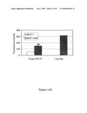 HSC70 directed diagnostics and therapeutics for multidrug resistant neoplastic disease diagram and image