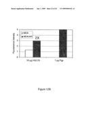 HSC70 directed diagnostics and therapeutics for multidrug resistant neoplastic disease diagram and image