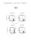 A CELL THERAPY METHOD FOR THE TREATMENT OF TUMORS diagram and image