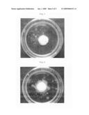Method of Three-Dimesionally Culturing Chondrocytes diagram and image