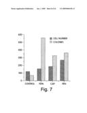 Methods of controlling proliferation and differentiation of stem and progenitor cells diagram and image