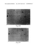 Methods of controlling proliferation and differentiation of stem and progenitor cells diagram and image