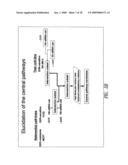 COMPOUND PROFILING METHOD diagram and image