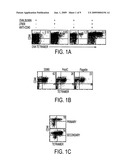 TLR AGONIST (FLAGELLIN)/CD40 AGONIST/ANTIGEN PROTEIN AND DNA CONJUGATES AND USE THEREOF FOR INDUCING SYNERGISTIC ENHANCEMENT IN IMMUNITY diagram and image