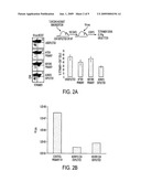 TLR AGONIST (FLAGELLIN)/CD40 AGONIST/ANTIGEN PROTEIN AND DNA CONJUGATES AND USE THEREOF FOR INDUCING SYNERGISTIC ENHANCEMENT IN IMMUNITY diagram and image