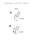 Dek Protein Compositions and Methods of Using the Same diagram and image