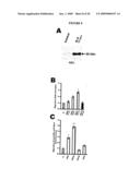 Dek Protein Compositions and Methods of Using the Same diagram and image