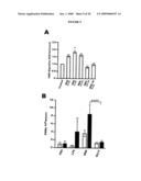 Dek Protein Compositions and Methods of Using the Same diagram and image