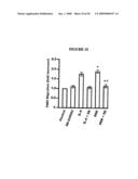 Dek Protein Compositions and Methods of Using the Same diagram and image