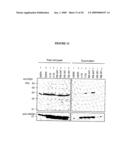 Dek Protein Compositions and Methods of Using the Same diagram and image